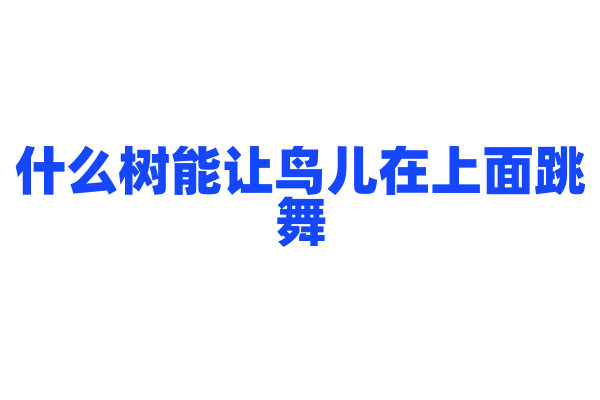 什么树能让鸟儿在上面跳舞？