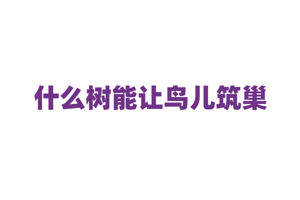 什么树能让鸟儿筑巢？