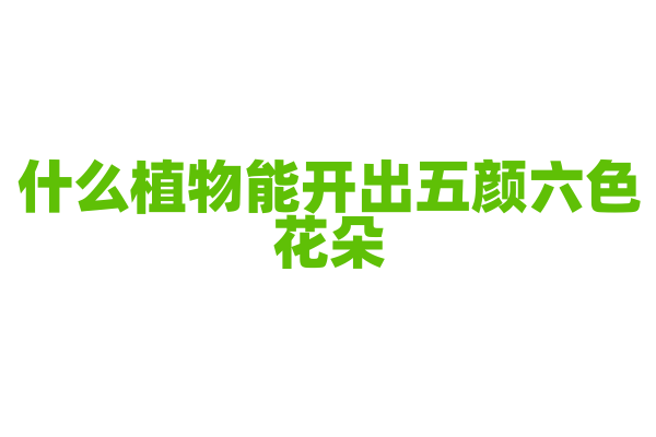 什么植物能开出五颜六色花朵？