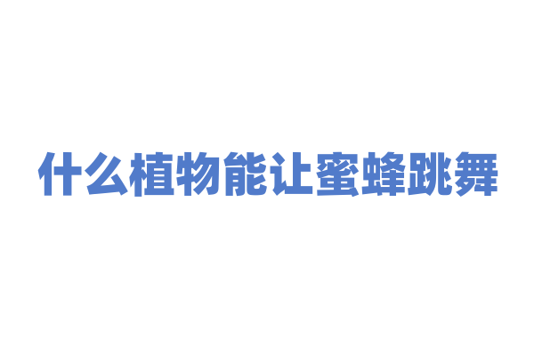 什么植物能让蜜蜂跳舞？
