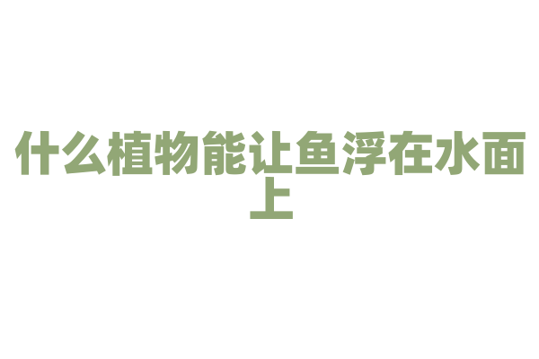什么植物能让鱼浮在水面上？