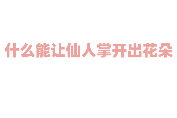 什么能让仙人掌开出花朵？