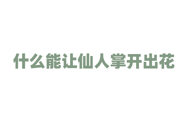 什么能让仙人掌开出花？