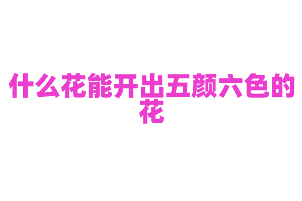 什么花能开出五颜六色的花？