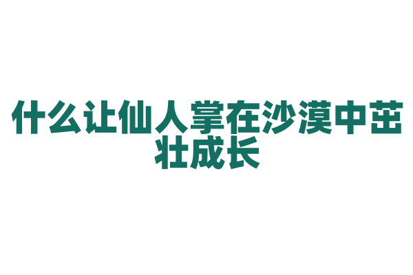 什么让仙人掌在沙漠中茁壮成长？