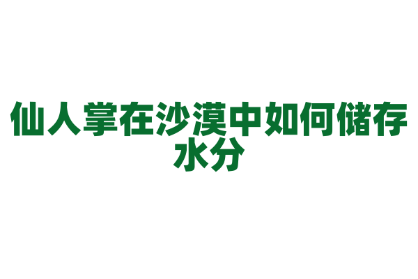 仙人掌在沙漠中如何储存水分