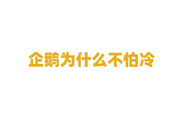 企鹅为什么不怕冷，它的身体结构有哪些抗寒特征？