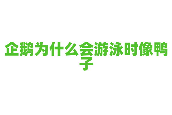 企鹅为什么会游泳时像鸭子？