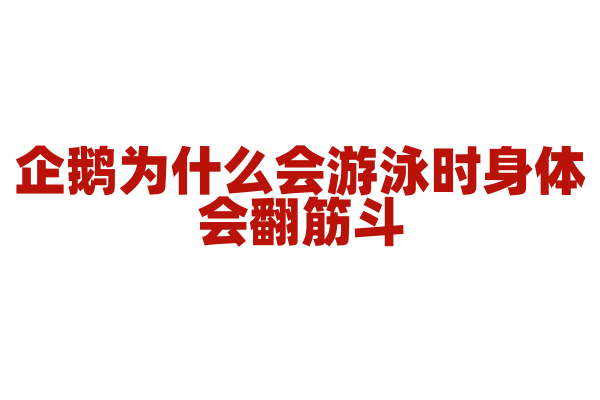 企鹅为什么会游泳时身体会翻筋斗？