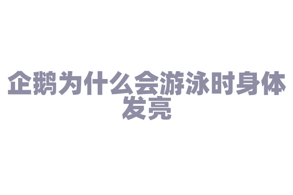 企鹅为什么会游泳时身体发亮？