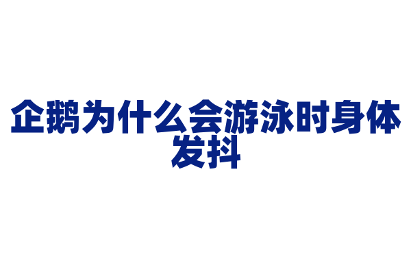 企鹅为什么会游泳时身体发抖？