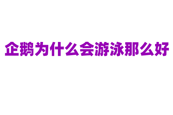 企鹅为什么会游泳那么好？