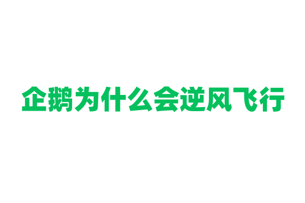企鹅为什么会逆风飞行？