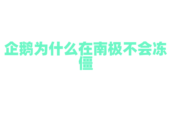 企鹅为什么在南极不会冻僵？