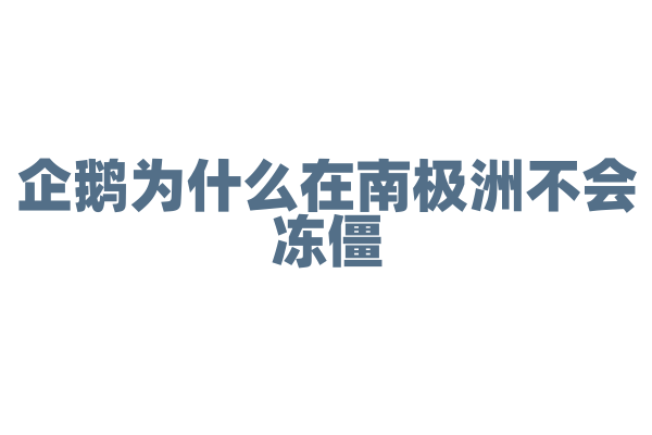 企鹅为什么在南极洲不会冻僵？