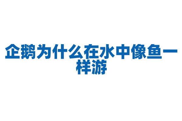 企鹅为什么在水中像鱼一样游？