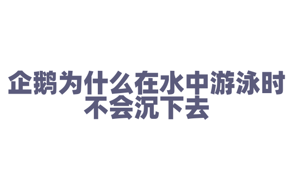 企鹅为什么在水中游泳时不会沉下去？