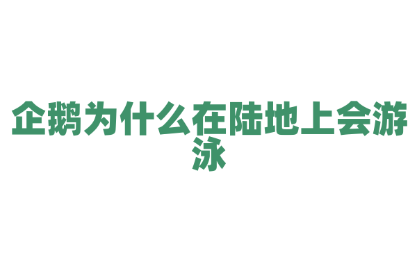 企鹅为什么在陆地上会游泳？