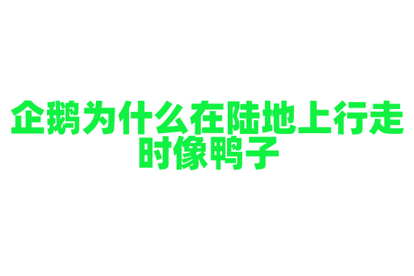 企鹅为什么在陆地上行走时像鸭子？