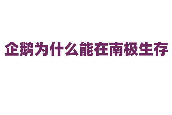企鹅为什么能在南极生存？