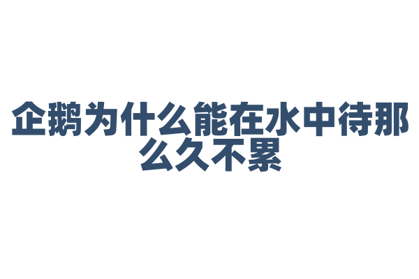 企鹅为什么能在水中待那么久不累？