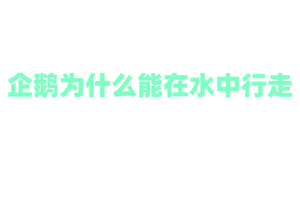 企鹅为什么能在水中行走？