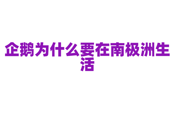 企鹅为什么要在南极洲生活？