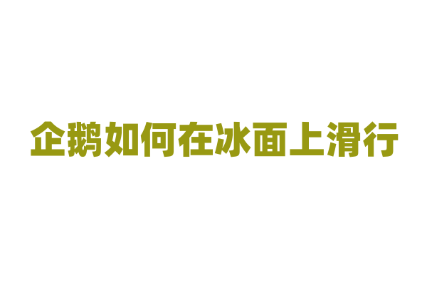 企鹅如何在冰面上滑行？