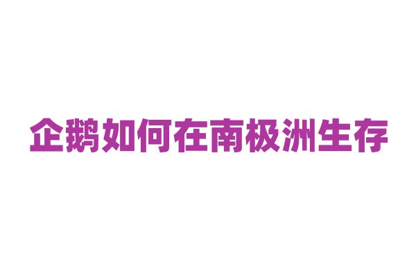 企鹅如何在南极洲生存？