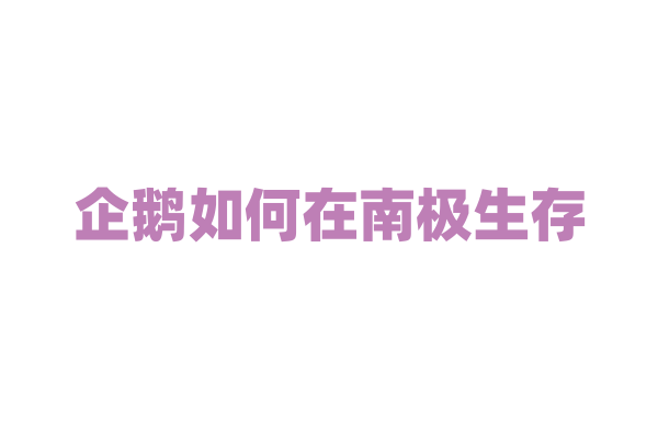企鹅如何在南极生存