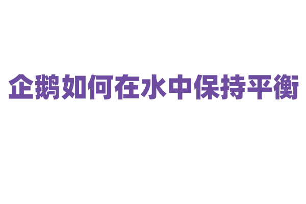 企鹅如何在水中保持平衡