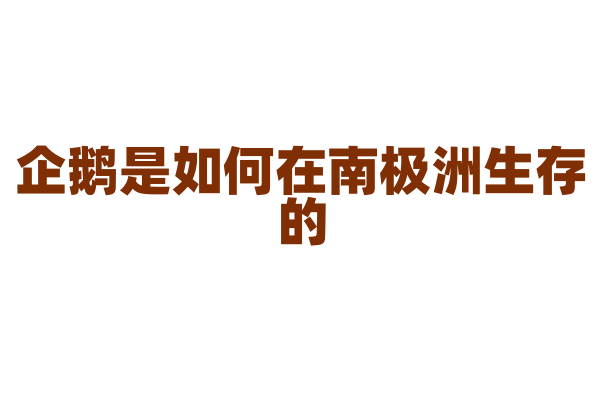企鹅是如何在南极洲生存的？