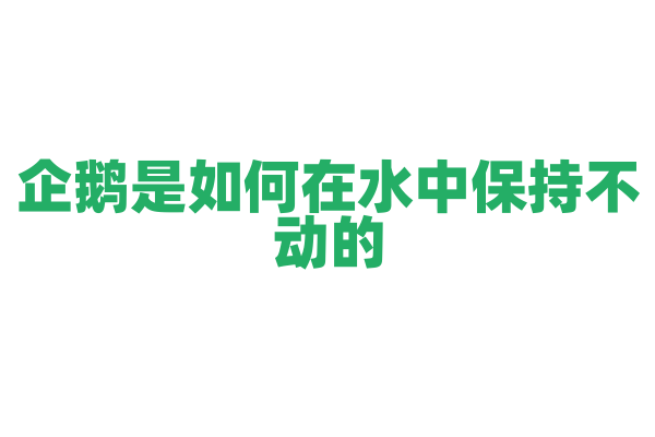企鹅是如何在水中保持不动的？