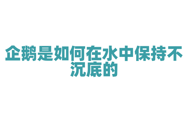 企鹅是如何在水中保持不沉底的？