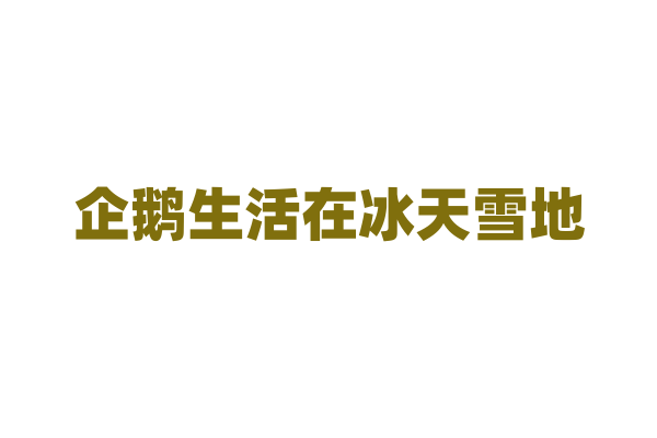 企鹅生活在冰天雪地，为啥不怕冷？