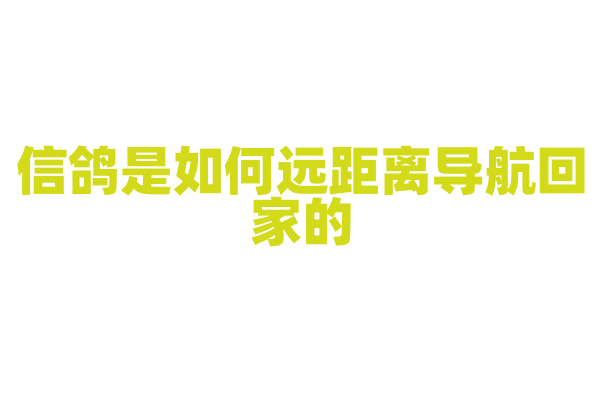 信鸽是如何远距离导航回家的