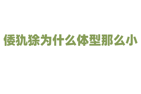 倭犰狳为什么体型那么小，它的生存策略和小型化有什么关系？