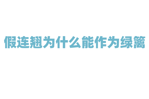 假连翘为什么能作为绿篱，它的生长习性和造型可塑性怎样？
