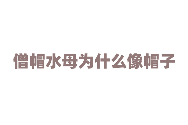 僧帽水母为什么像帽子，它的身体结构和生活习性有什么特点？