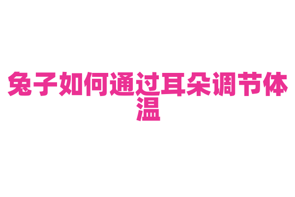 兔子如何通过耳朵调节体温？