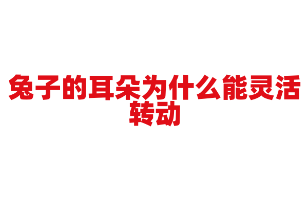 兔子的耳朵为什么能灵活转动？