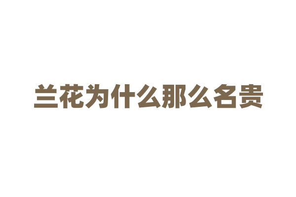 兰花为什么那么名贵，它的品种有多少种？