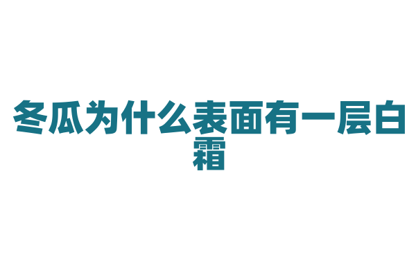 冬瓜为什么表面有一层白霜，这层白霜有什么作用？