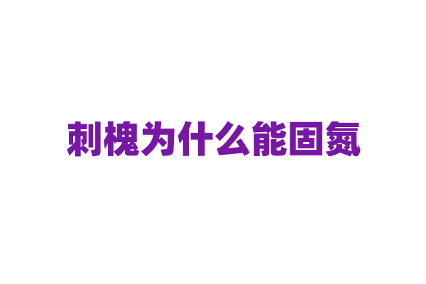 刺槐为什么能固氮，它与根瘤菌的共生机制是怎样的？