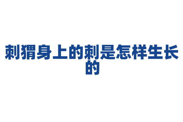刺猬身上的刺是怎样生长的？