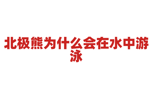 北极熊为什么会在水中游泳？