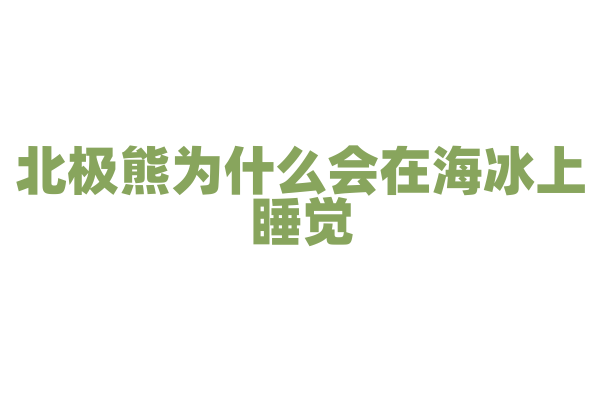 北极熊为什么会在海冰上睡觉？