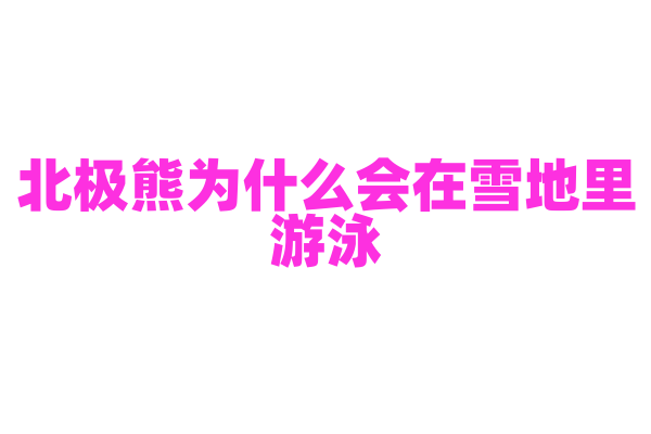 北极熊为什么会在雪地里游泳？