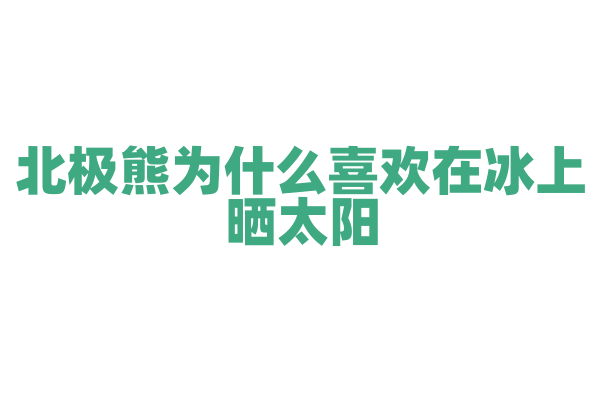 北极熊为什么喜欢在冰上晒太阳？