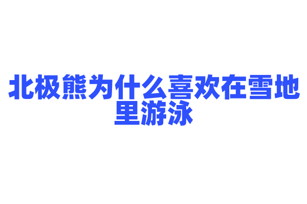 北极熊为什么喜欢在雪地里游泳？